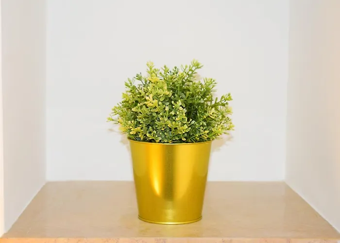 Gorgo Rinaldi - Locazioni Brevi 莫诺波利