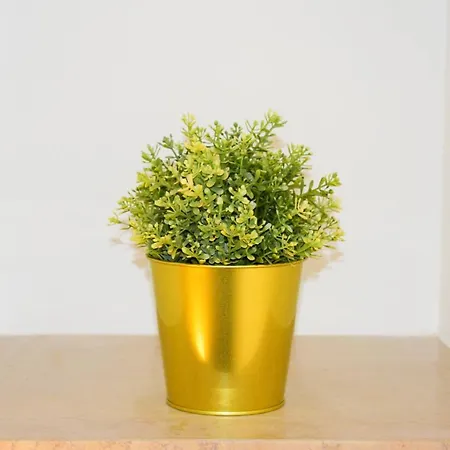 Gorgo Rinaldi - Locazioni Brevi Monopoli